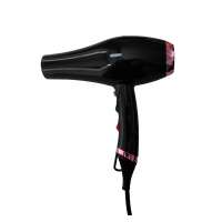 Standard 2000-2200W Heating Wire Element Salon Hair Hand Dryer